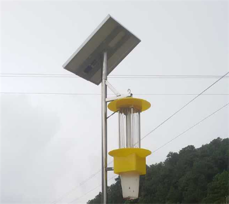 新疆棉田用太陽(yáng)能殺蟲(chóng)燈滅蟲(chóng) 降低農(nóng)藥使用保護(hù)