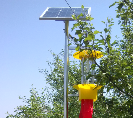 泗水鎮：殺蟲燈綠色防治 保障蔬菜質量