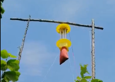 一袋子的害蟲，這就是云飛殺蟲燈的效果