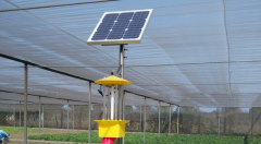 利用交流殺蟲燈發展蔬菜產業