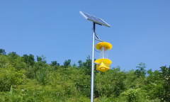 太陽(yáng)能殺蟲燈誘殺害蟲的顯著效果