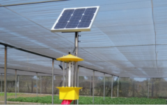 太陽(yáng)能殺蟲(chóng)燈在玉米蟲(chóng)害中的應(yīng)用