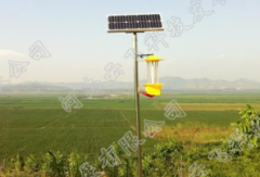 太陽能殺蟲燈助力生態農業發展