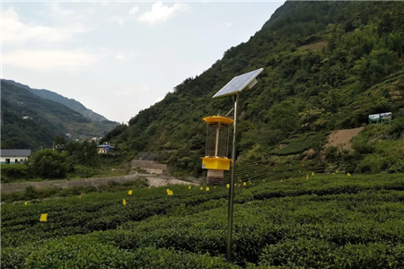 自動(dòng)清蟲(chóng)太陽(yáng)能殺蟲(chóng)燈