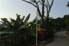 云飛自動(dòng)清蟲太陽能殺蟲燈推動(dòng)閩清縣橄欖產(chǎn)業(yè)