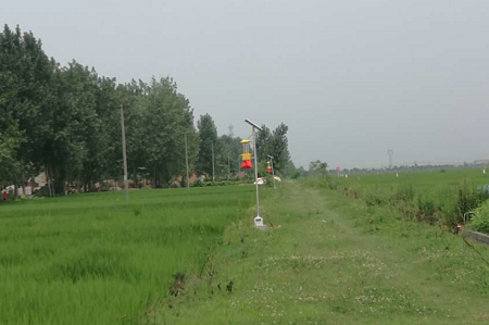 物聯(lián)網(wǎng)自動清蟲殺蟲燈