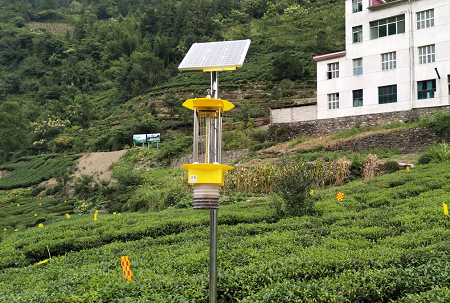 物聯網自清蟲殺蟲燈