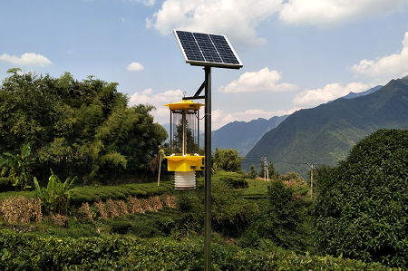 自清蟲太陽能殺蟲燈