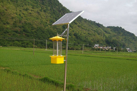 太陽能殺蟲燈