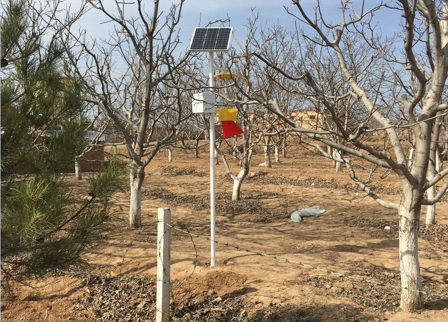 太陽(yáng)能殺蟲(chóng)燈