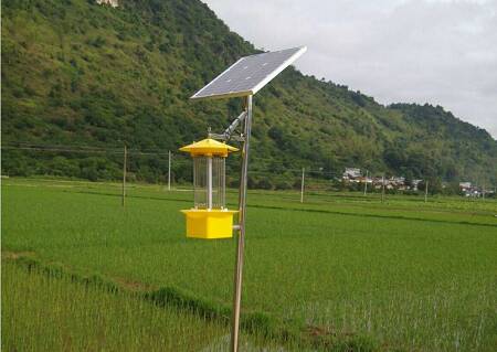 太陽(yáng)能殺蟲燈