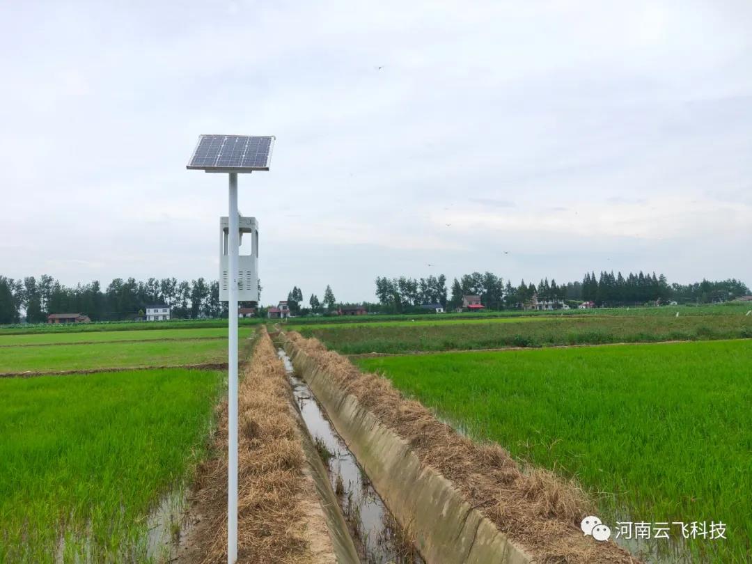 風(fēng)吸式太陽能殺蟲燈綠色環(huán)保，物理滅蟲